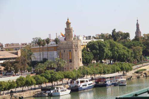 Apartamento Luisahouse. Centro De Triana