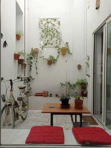Town House With Rooftop Terrace