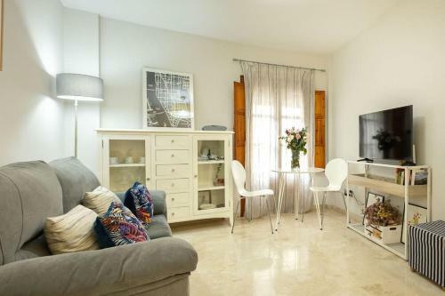 Apartamento Pajaritos Center Suite By Valcambre