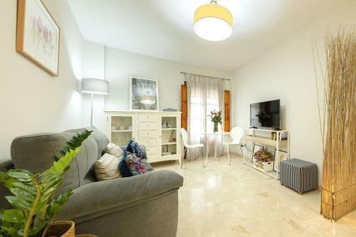 Apartamento Pajaritos Center Suite By Valcambre