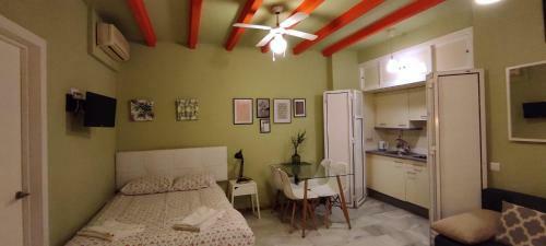 Apartamento Centro Hist�rico Metropol Wifi