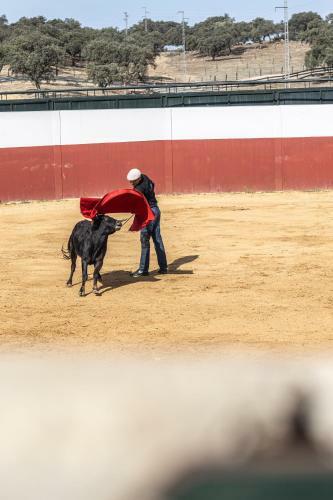 Hotel Rural Ganader�a Virgen Mar�a