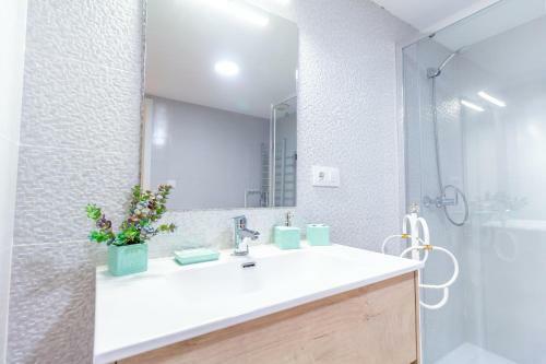 Apartamento Alohamundi San Esteban III