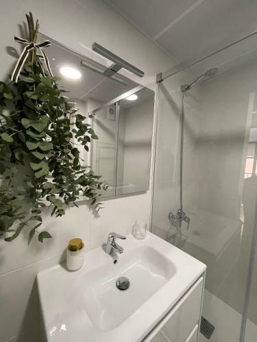 Reyes Cat�licos II Suite Apartment