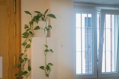 Apartamento Estudio A Estrenar En Sta Clara