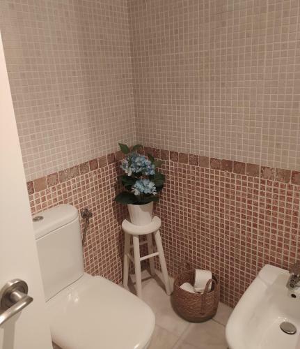 Apartamento Estudio C�ntrico