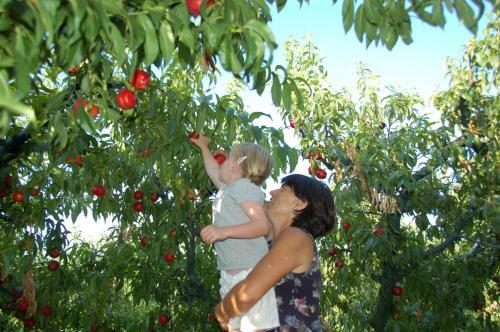 Agroturismo Agriturismo Il Sentiero