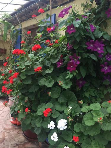 Bed & Breakfast Le Mas Du Rouquan