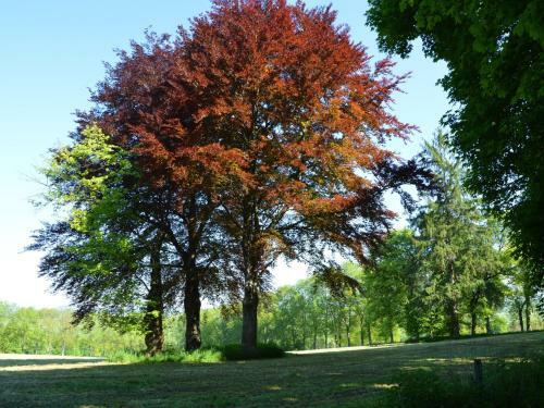 Holiday Home La Hetraie Roumont