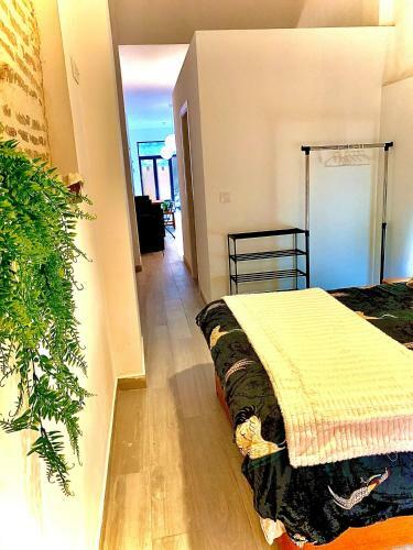 Loft B Apartamento Con Terraza Chill Out