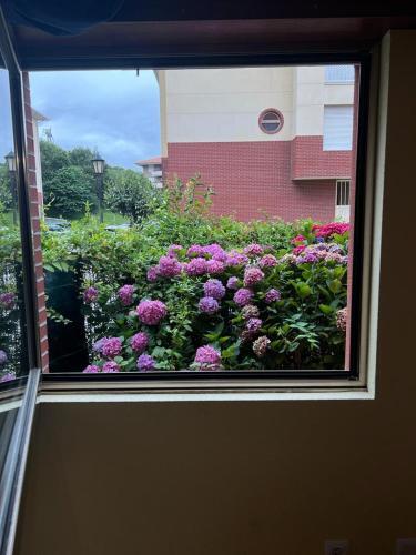 Apartamento En Playa Con Jard�n
