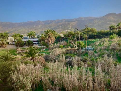 Apartamento El Peque�o Descanso