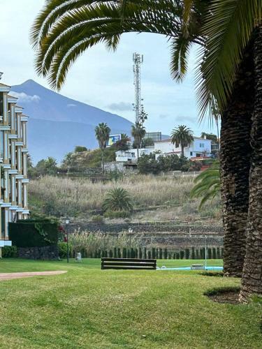Apartamento Acogedor Vistas Piscina Y Teide