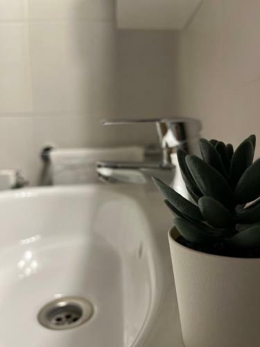Apartamento San Vicente De La Sonsierra Confort