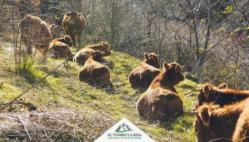 Agroturismo Casa Rural El Tombo La Risa
