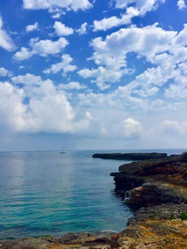 Es Forti 52