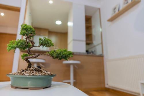 Apartamento Carmela
