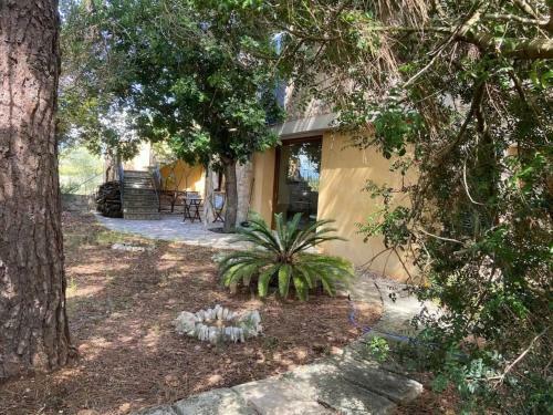 Holiday Home Petit Torrent Fals By Interhome