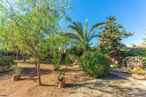 Villa S'alqueria Rotja