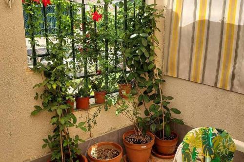 Apartamento Bungalow Manuela