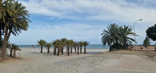 Apartamento Palmerav