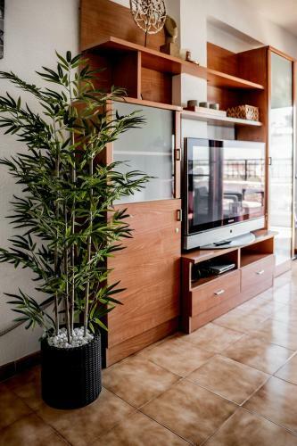 Apartamento Paraiso Tamarit