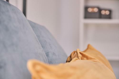 Hostal Dad� Coliving & Rooms By Serendipia Turismo