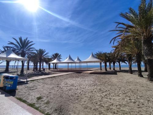 Apartamento C�modo A 300 Metros De La Playa
