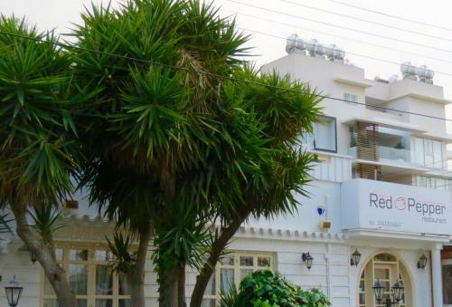 Vizantium Penthouse Apartment
