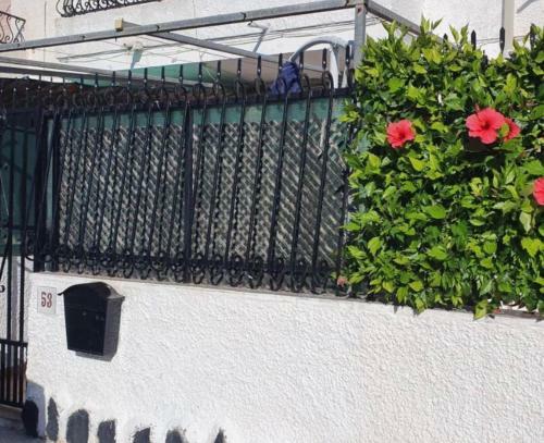 Apartamento Sunflower Playa Lisa