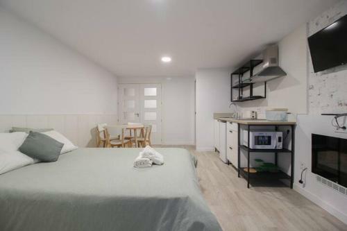 Apartamento Estudio En El Centro De Santander