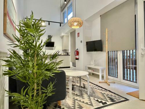 Apartamentos Bah�a&arena