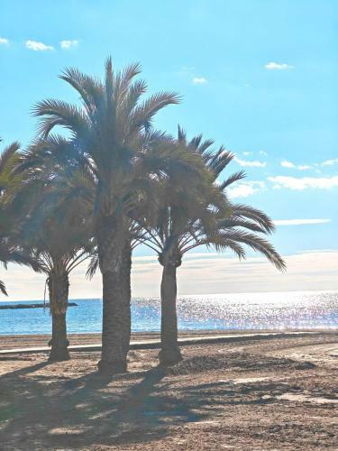 Apartamento San Pedro Con Ascensor Y Recogida