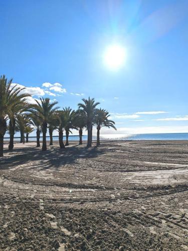 Apartamento San Pedro Con Ascensor Y Recogida