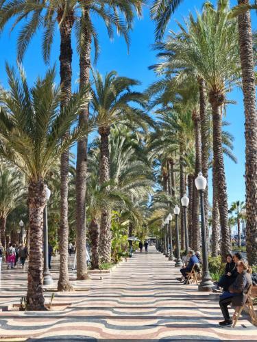 Apartamento San Pedro Con Ascensor Y Recogida