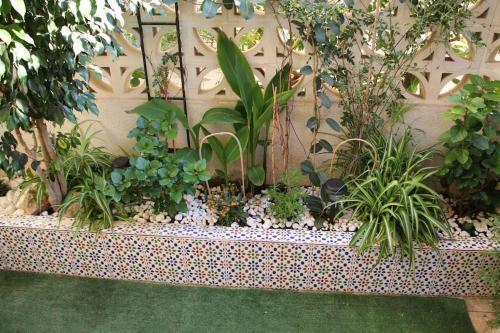Apartamento Bungalow Acogedor A 300 Metros De La Playa