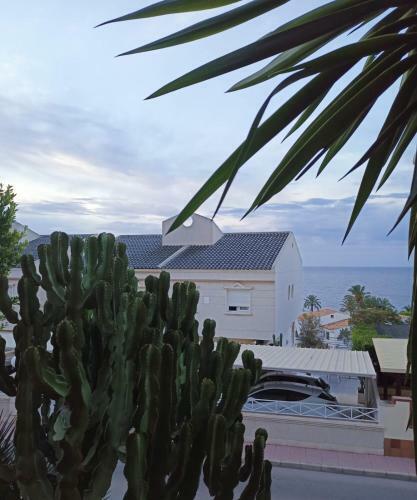 Apartamento Nice Place Santa Pola