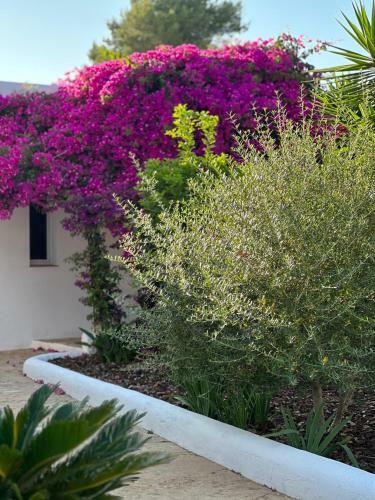 Villa Your Perfect Hideaway Only 5 Minutes From Ibiza