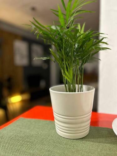 Apartamento Loft Centro Santander