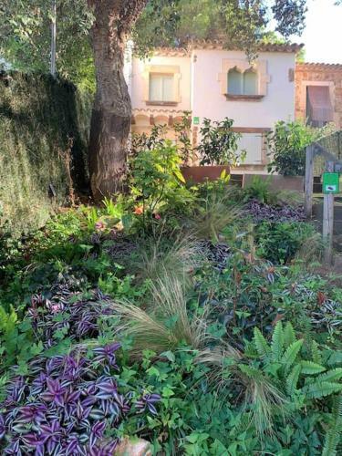 Fant�stica Casa Amb Jard� En Plena Costa Brava