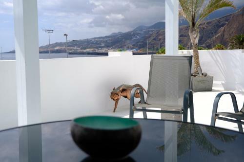 Rooftop Dreamhouse - 3br With Seaviews
