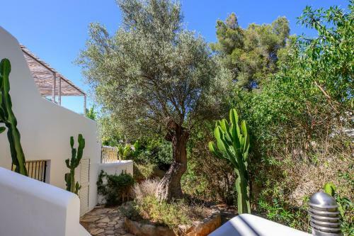Villa Amarantos