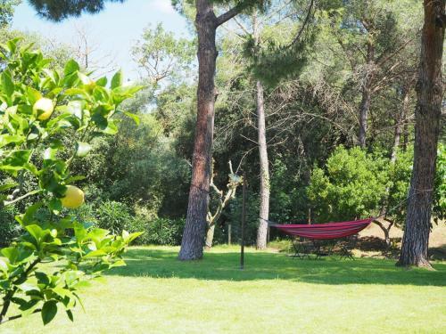 Agroturismo Masia Can Pitu