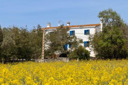 Apartamento Mas Tinus - Laurel