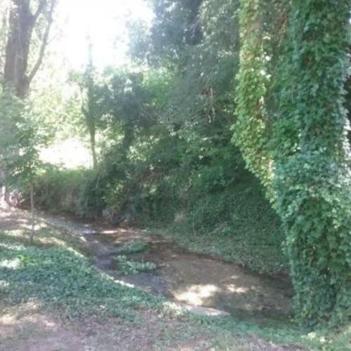 Casa Rural Barangua En El Pirineo Aragon�s