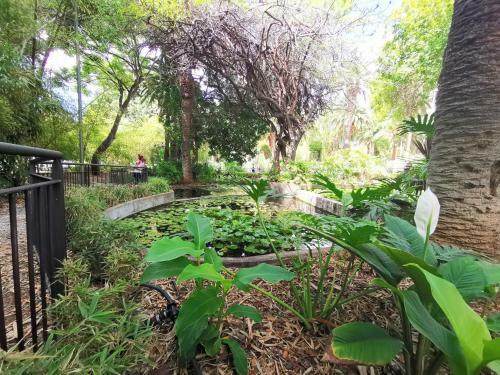 Apartamento Home2book Bright & Comfy Apt Santa Cruz Center