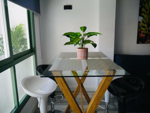 Apartamento Macaronesia Home