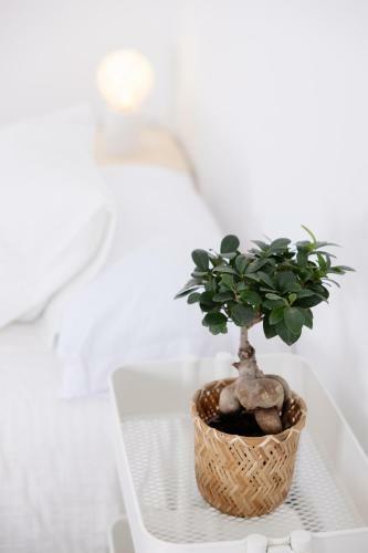 Apartamento Piso De Lujo En Tenerife La Cochera