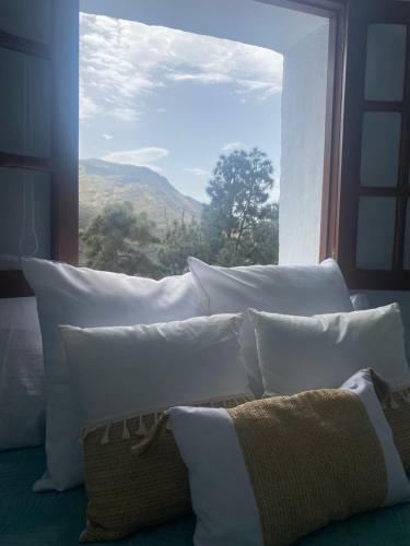 Villa La Rama Del Drago, Agaete