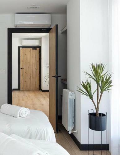 Hostal Donostia Rooms